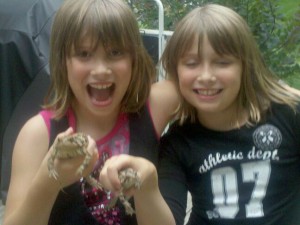 toads, pets, twins