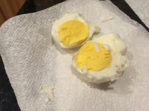 eggs