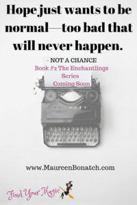 Not a Chance Cover Reveal