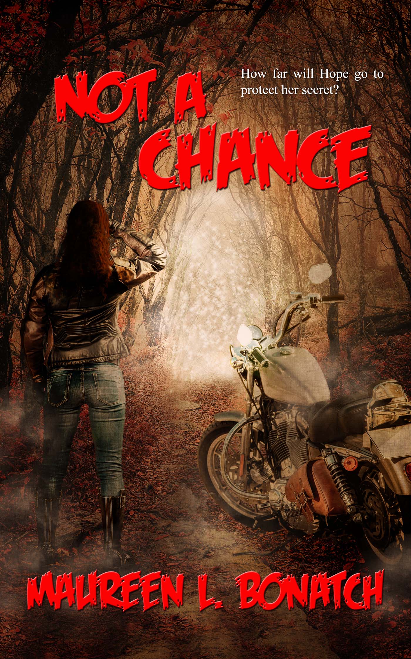 cover reveal NOT A CHANCE